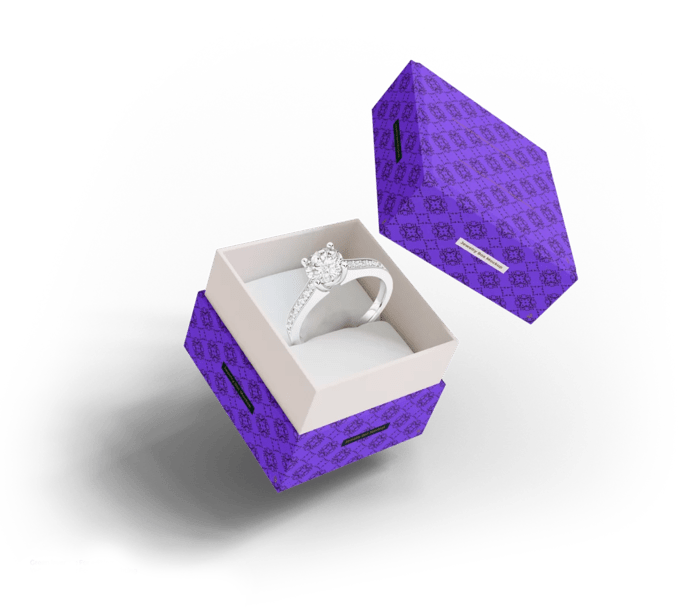 Portfolio Image 1
